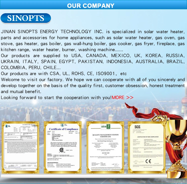 Sinopts Propane Boiler Ods Pilot Burner Assembly with CE Approval